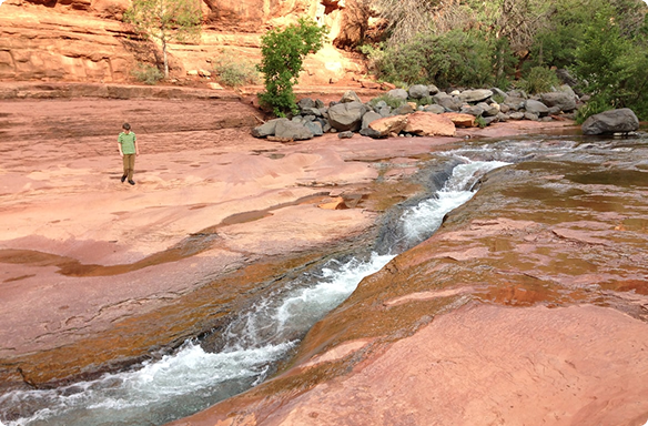 about real water arizona