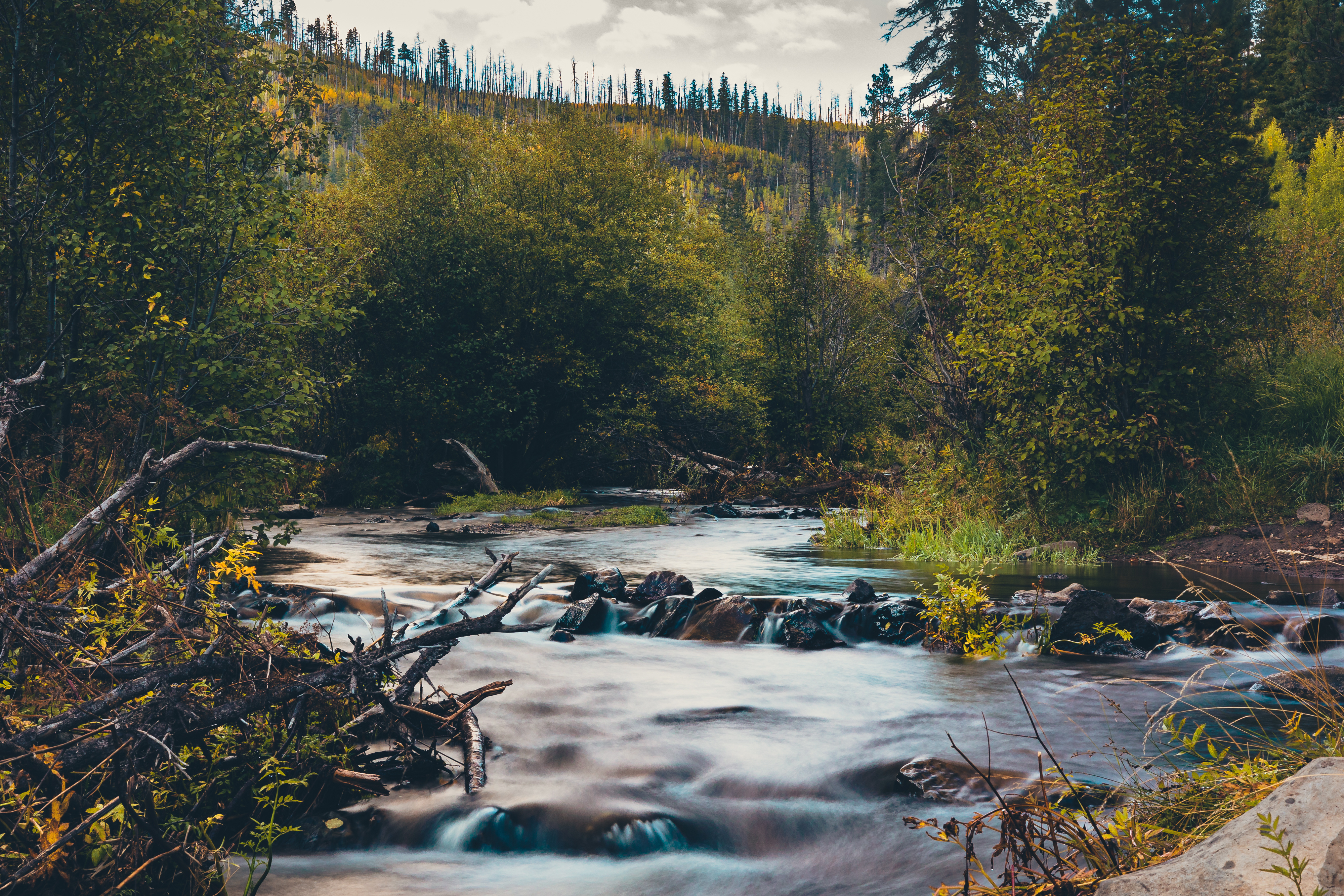 Stream Adjudications 101