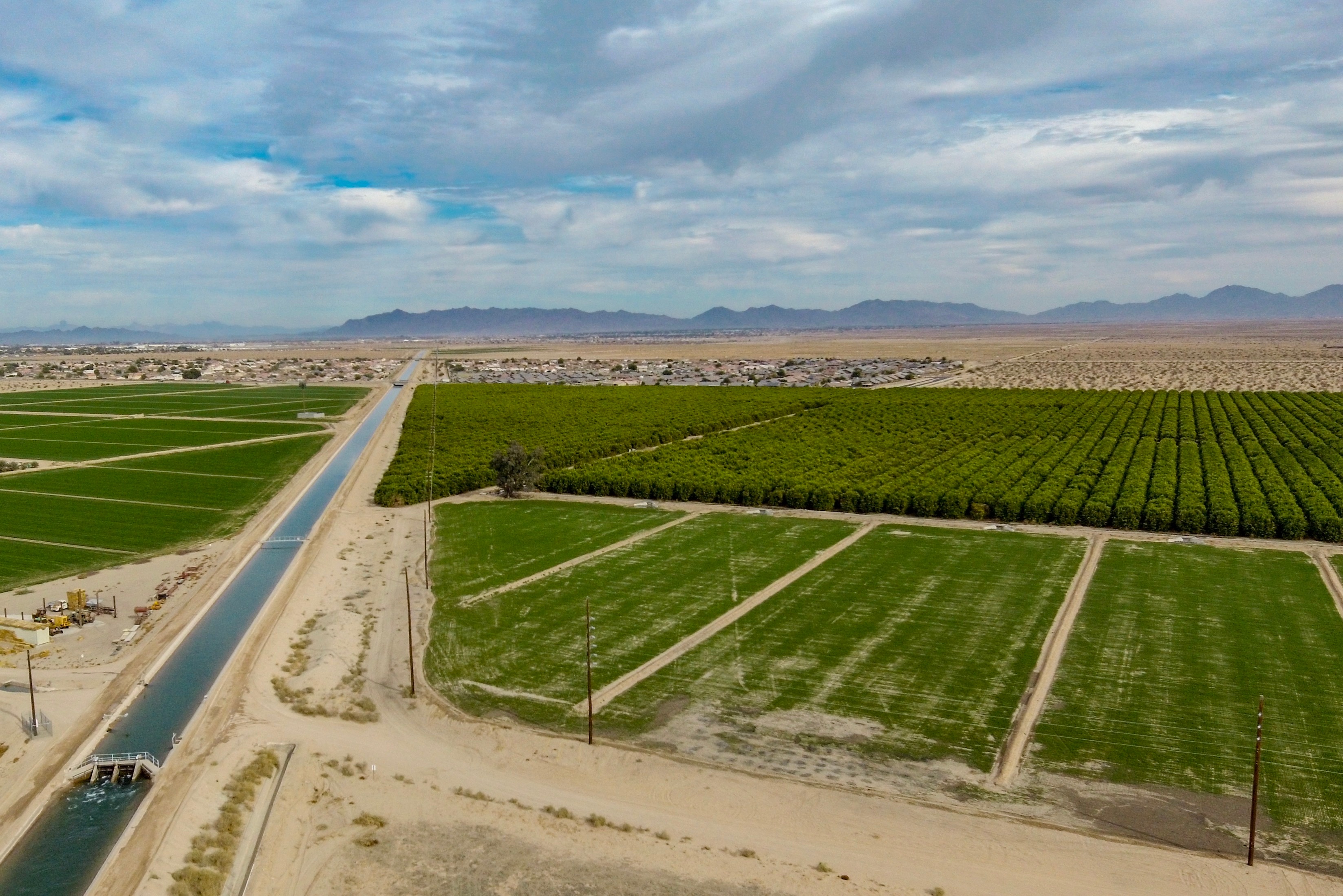 Arizona farm land next to a subdivision of homes and a canal. 