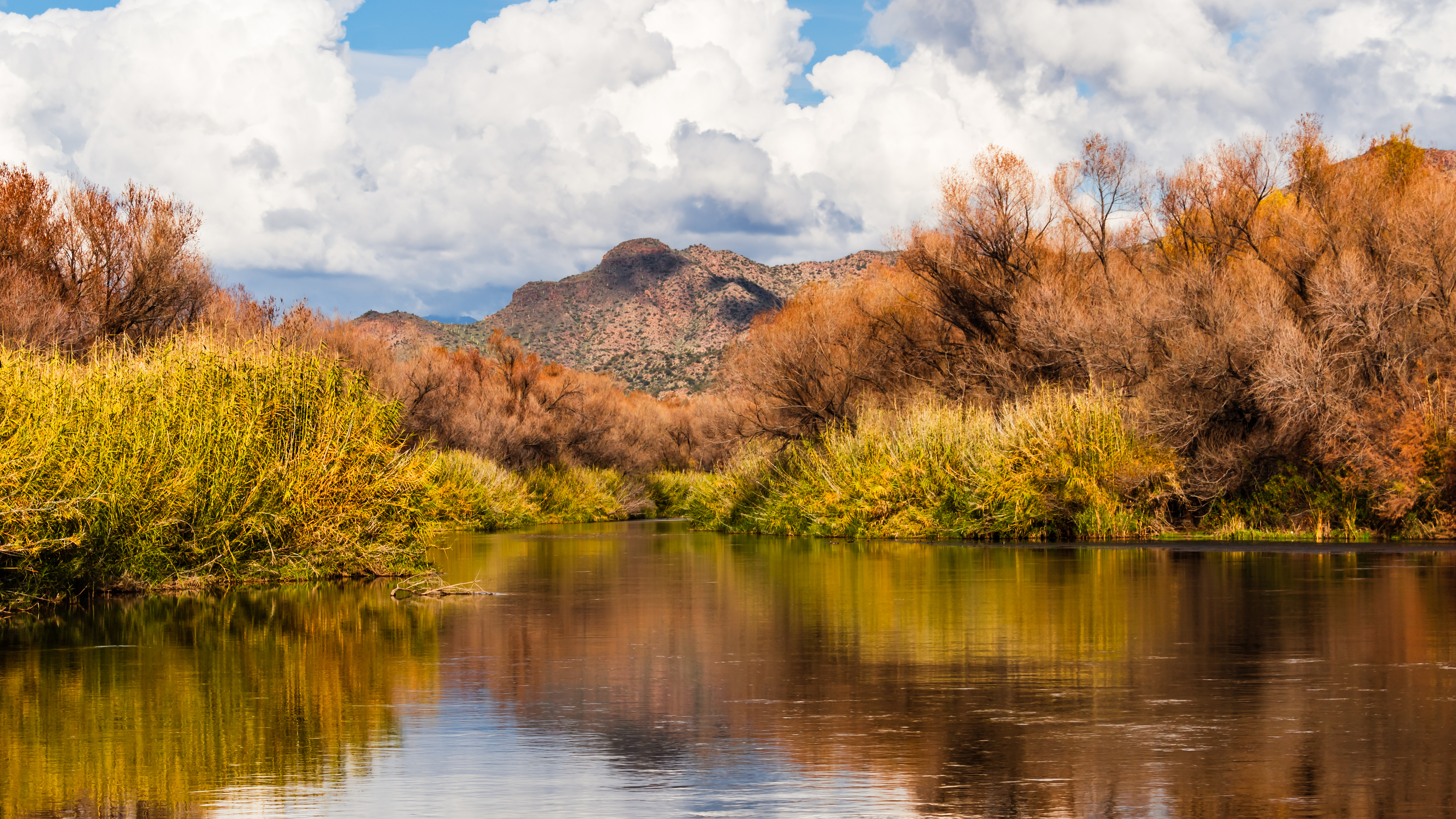 "Verde River in the Fall" taken by Juliana Swenson