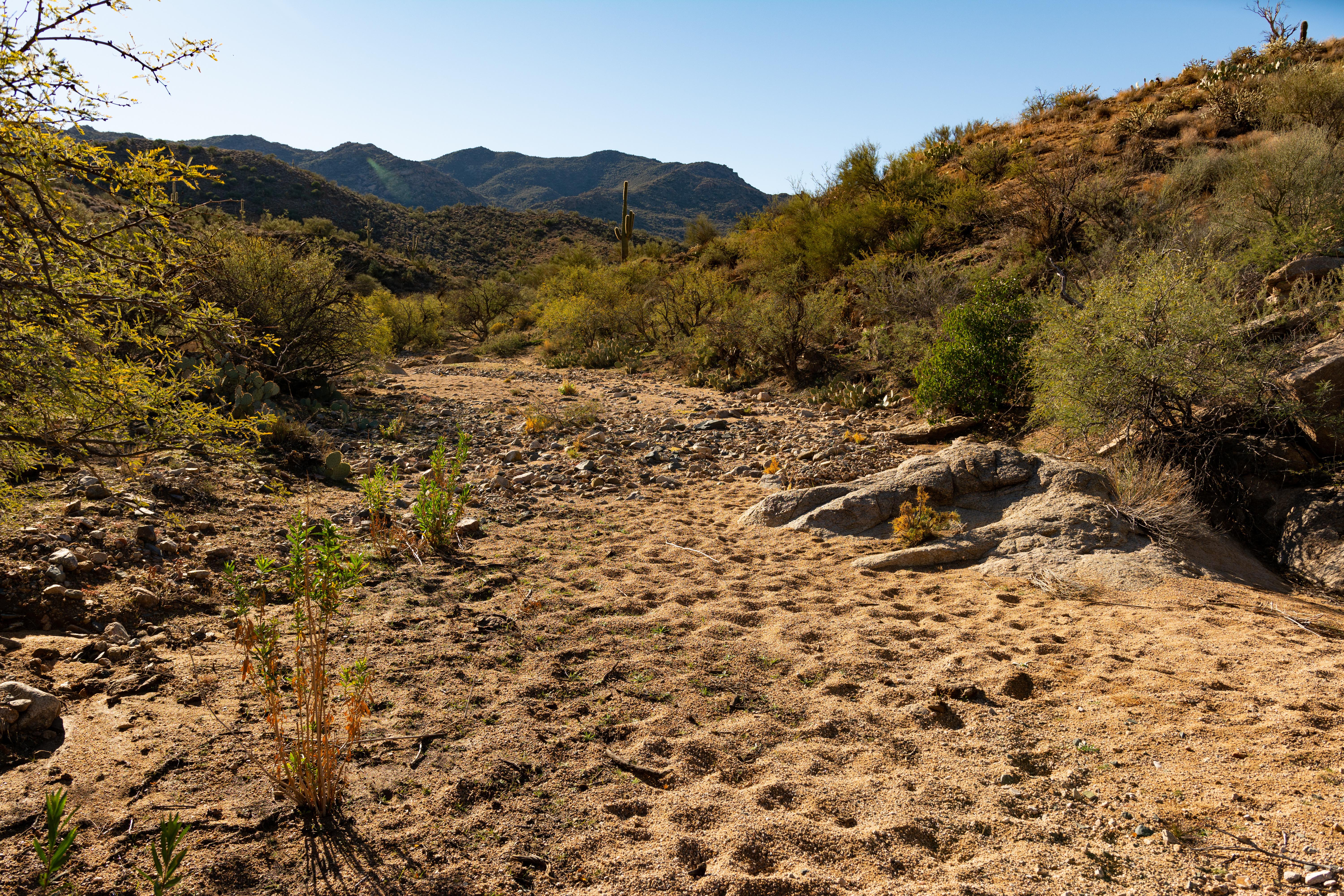 Water Supplies & Water Use In Arizona