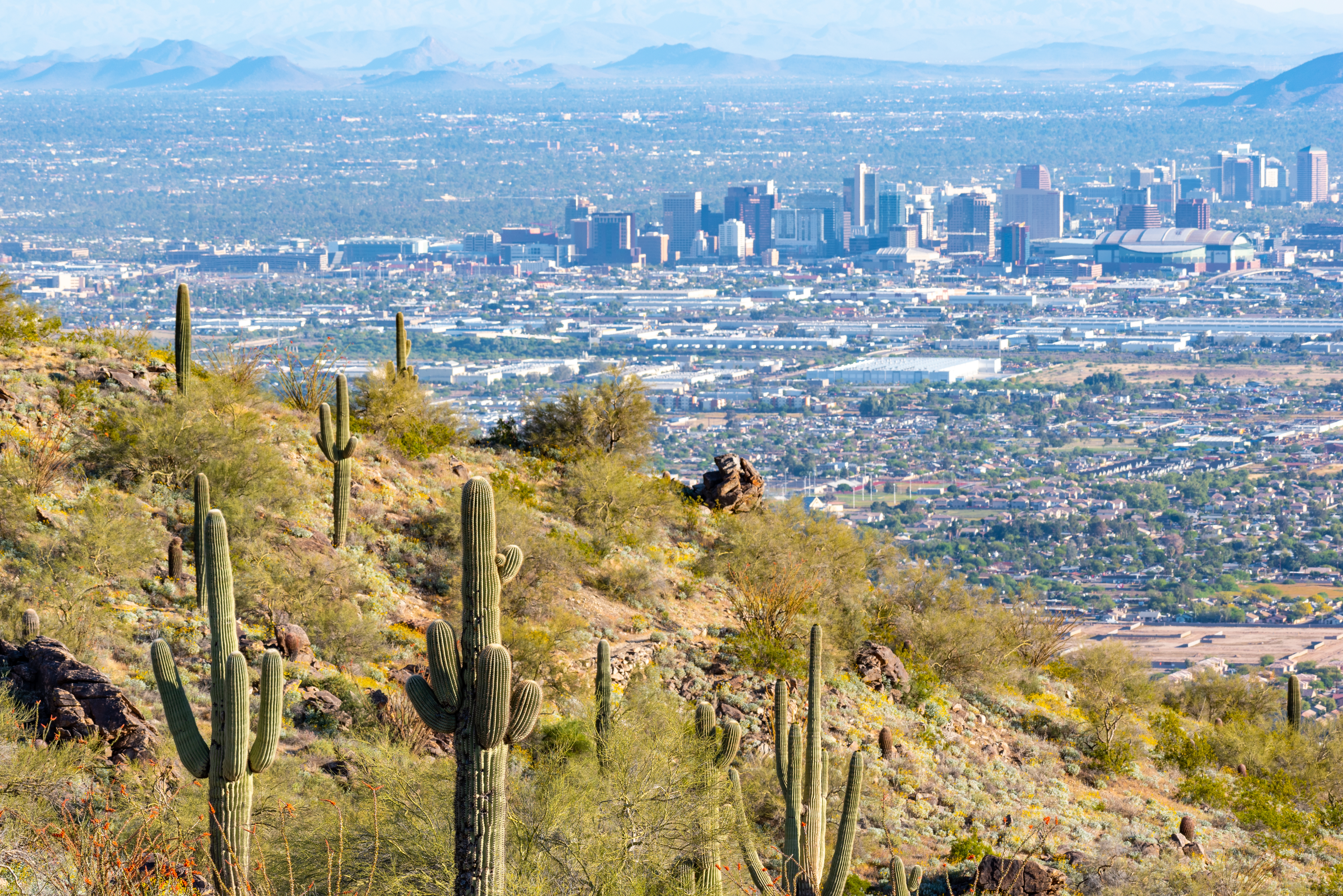 PHX AMA