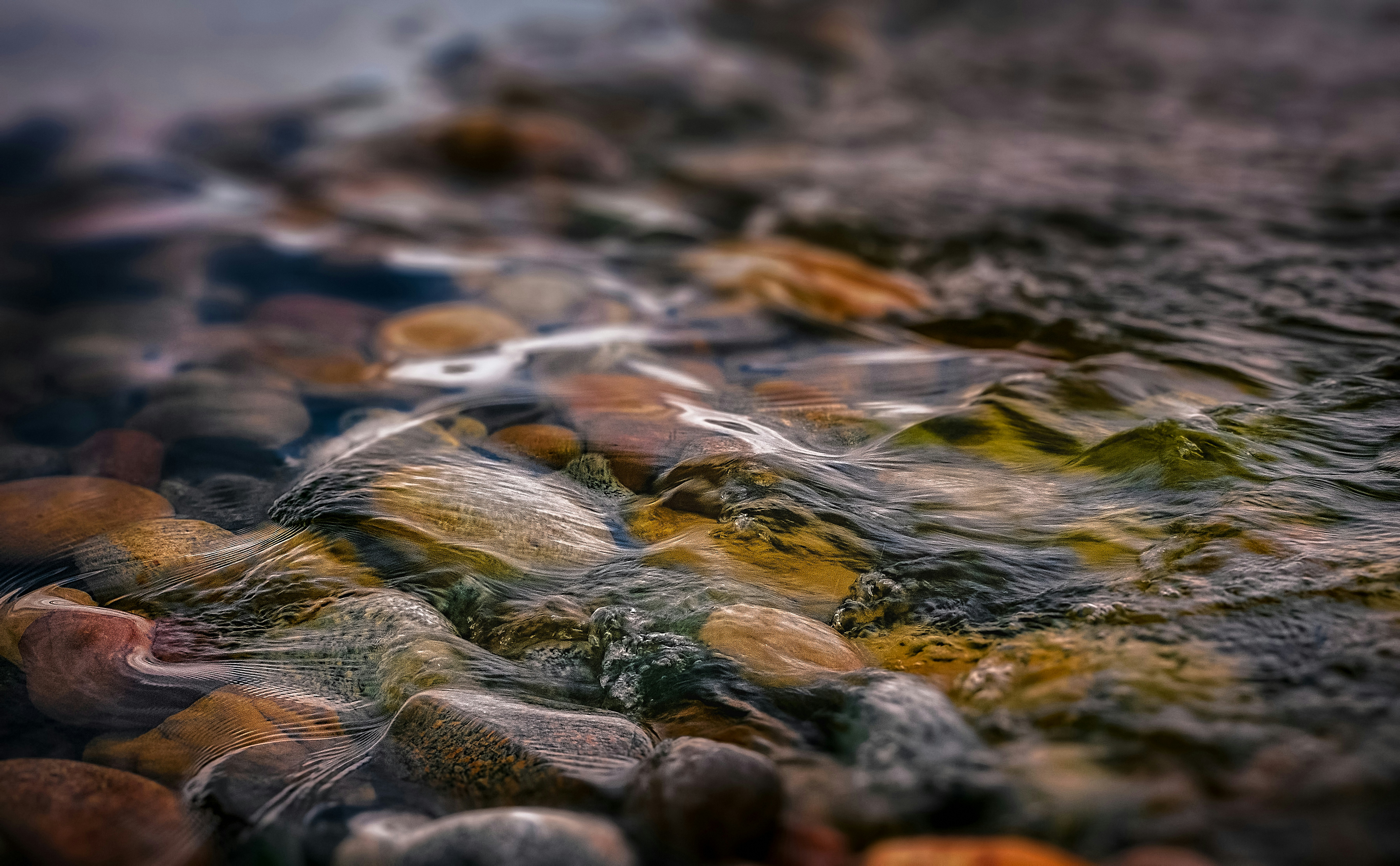 Determining the Stream Adjudication Status of a Property
