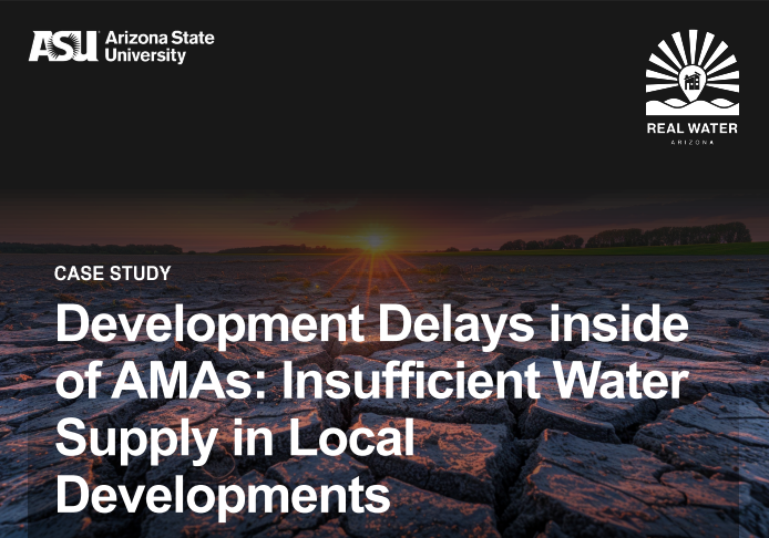 Development Delays